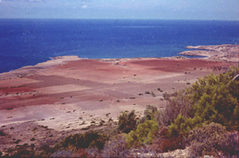 Davalos, North Coast of Cyprus.
